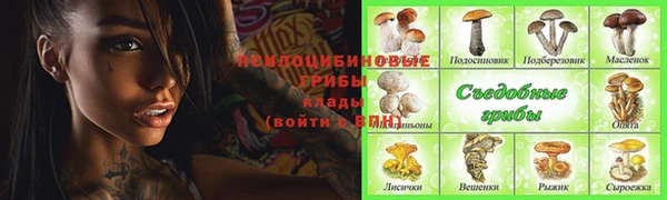 mix Бородино